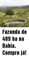 terra no brasil